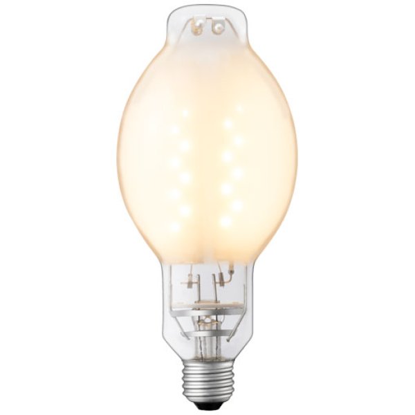 画像1: 【バラ】岩崎電気　LDS19L-G/G　LEDioc　LEDライトバルブG　19W　電球色　E26口金　水銀ランプ　80W相当 (1)